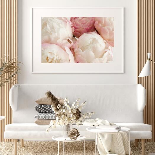 Cream White Pink Peonies