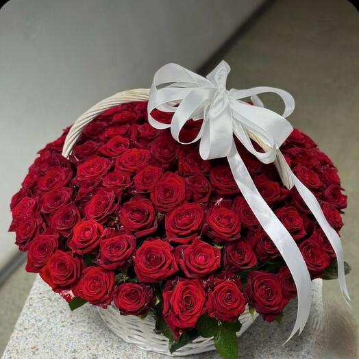 101 rosa 🌹