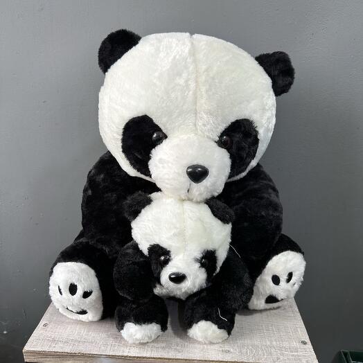 Панда и малыш