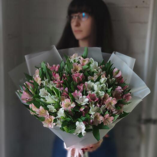 Альстромерия Solo-21