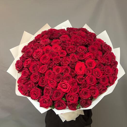 Rosa roja 101