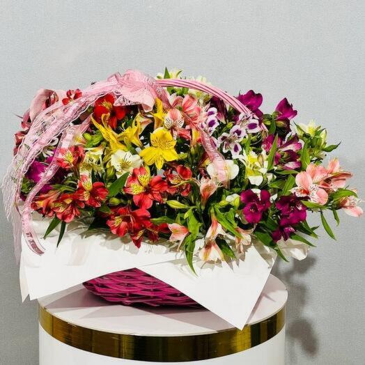 Bouquet of alstroemeria flowers in a basket of 27 pieces