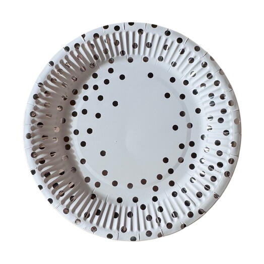 Набор одноразовых тарелок 10 шт белый с серебром. Disposable plates white 10 pcs with silver