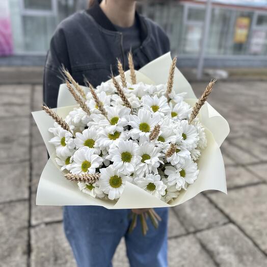 Ромашковое лето