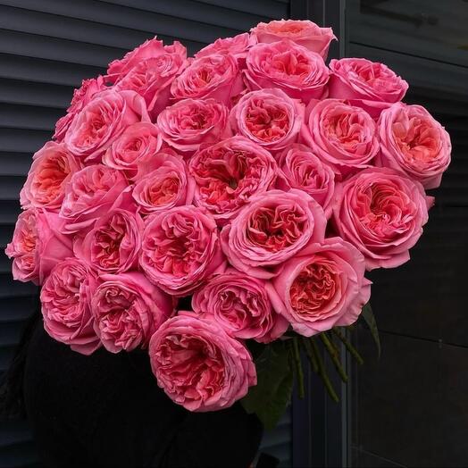 Розы из сорта Pink Expression