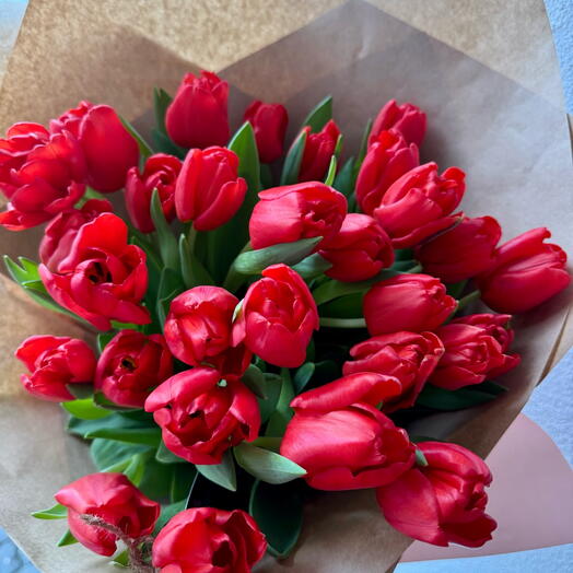 Red Tulips