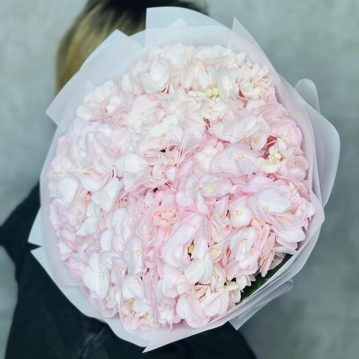 Розовое облако 🩷☁️: 3 возможных гортензии для нее 😍💓♥️.Букет для девушки без повода 🤩