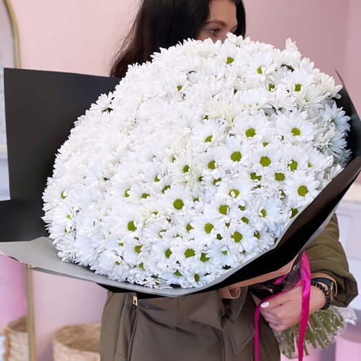 Chryzantemum
