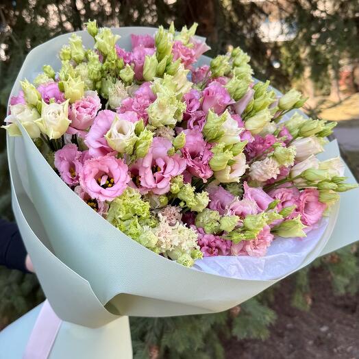 15 Pinky Eustoma