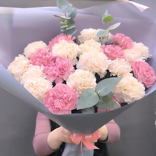 Dianthus 19pcs