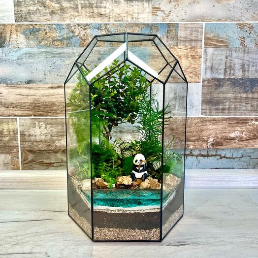 Florarium with Myrsina "The Catcher of Happiness"🍀 (L)