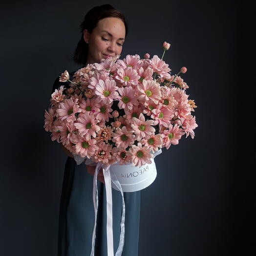 MD 6 Peach Box Mums