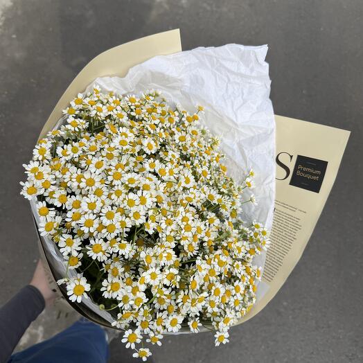 Полевые ромашки букетом  🌼