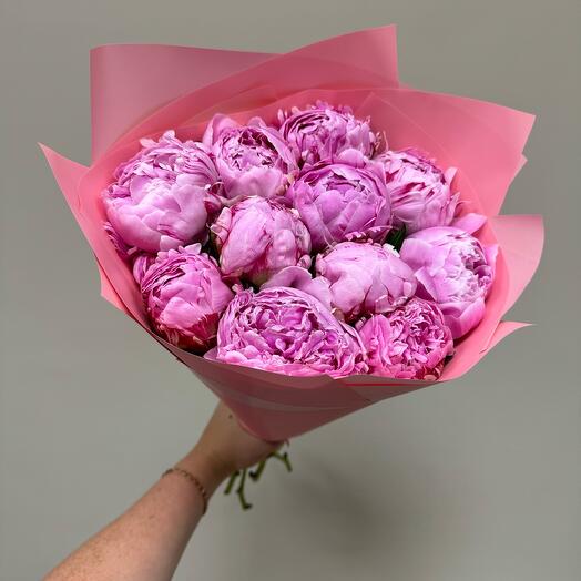 11 пионов Сара Бернар 💗💗💗 💗