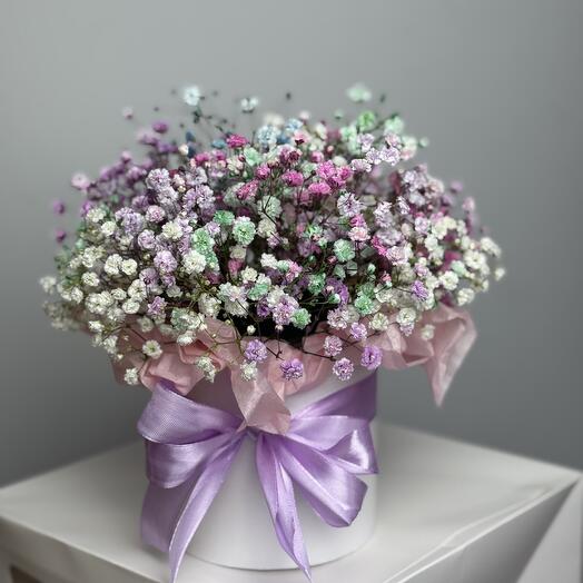 Композиция из радужной гипсофилы в переноске💟