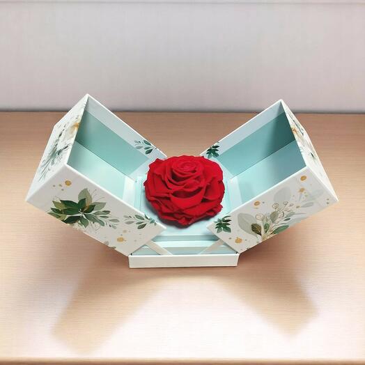 Cabeza de Rosa Eterna en Cajita