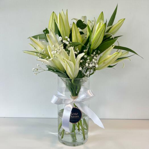 White Lily Grace