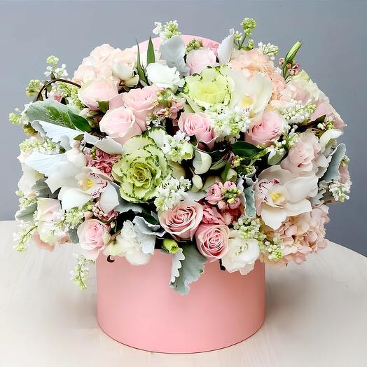 Blush Harmony in the box