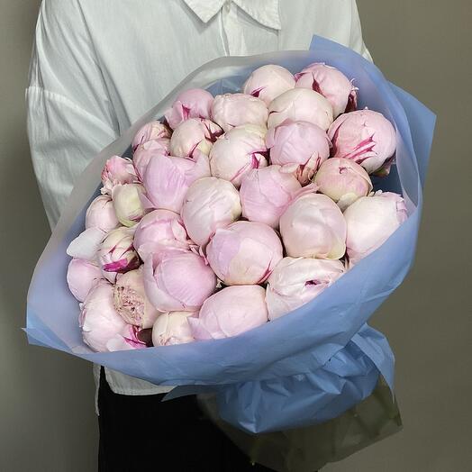 Розовые пионы