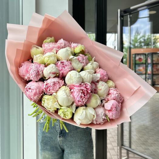 Monobook of peonies