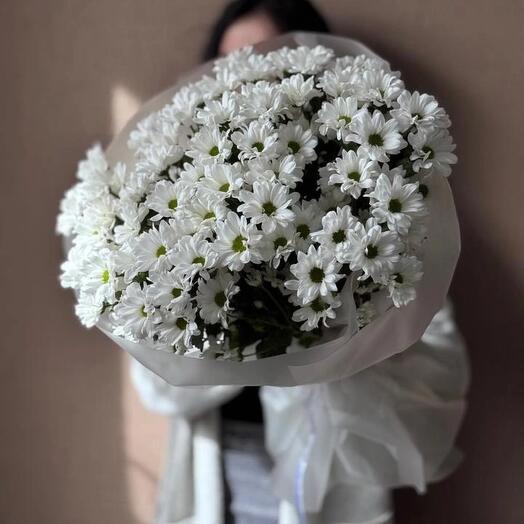 Ромашки 🌼