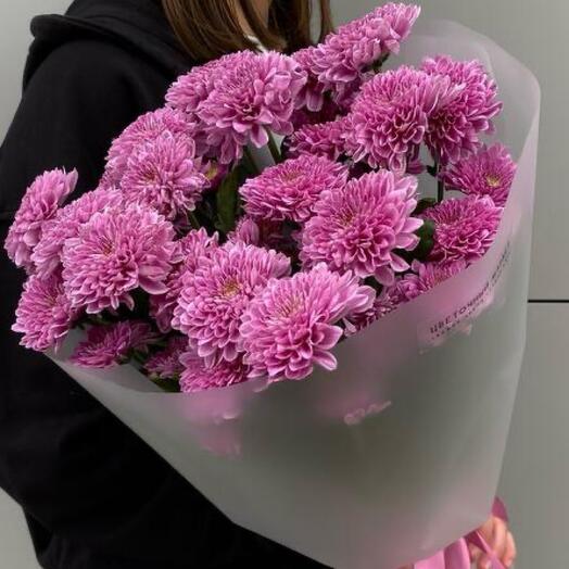 WOW💜ХРИЗАНТЕМА ФАБЬЕН