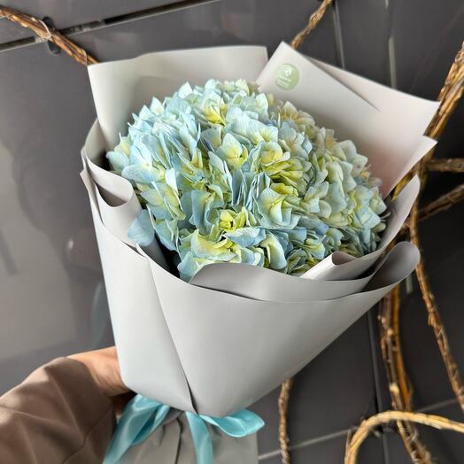 Hortensia