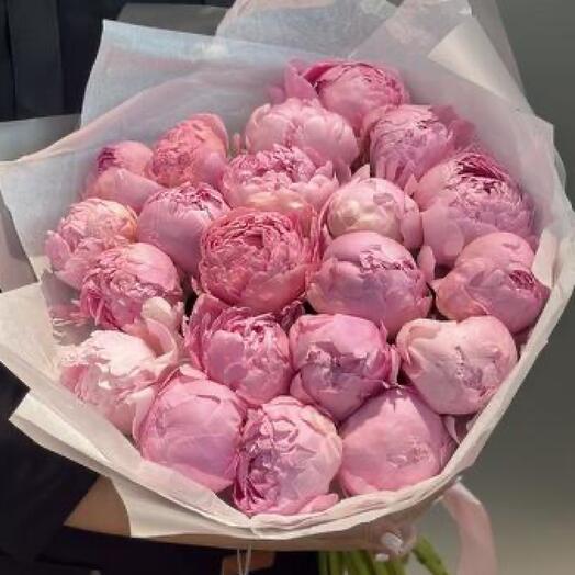 Букет из 21 розового пиона Сара Бернар🌸