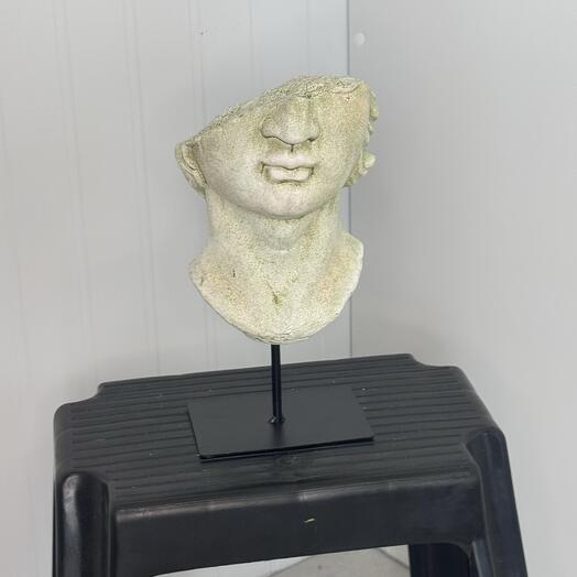 Голова на подставке