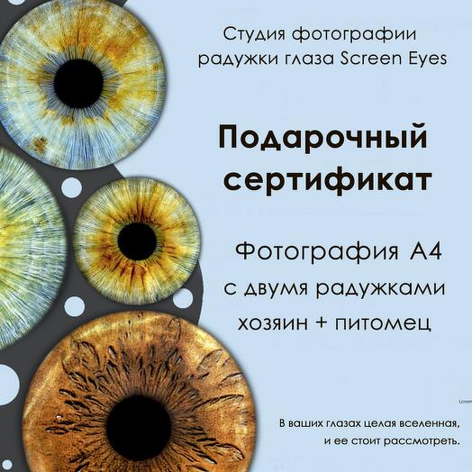 Подарочный электронный на парное фото радужки глаза с питомцем, формат А4