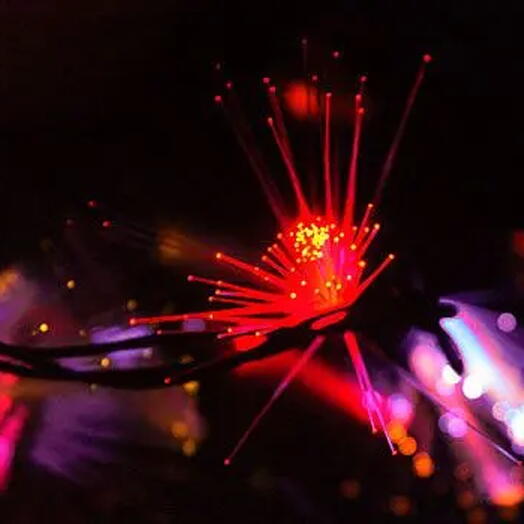 Электрогирлянда "Красные кисточки", 48 LED-ламп, 5+1,5 м, черный провод, конт