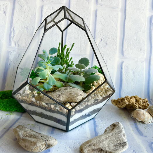 Флорариум подарок руководителю