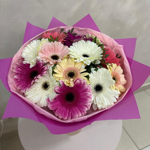 Гербера Микс 🌺