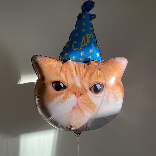 Шарик котик праздничный с днём рождения