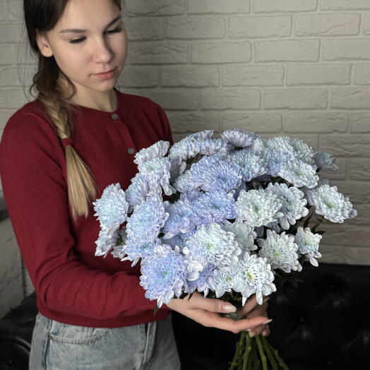 9 кустовых хризантем под ленту (голубые)