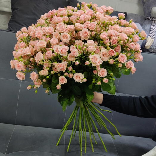 Кустовая роза Лидия 25
