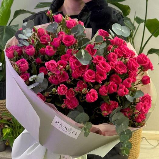 Кустовые розы Сафи