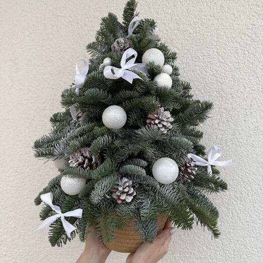 Елка из ели нобилис 🎄