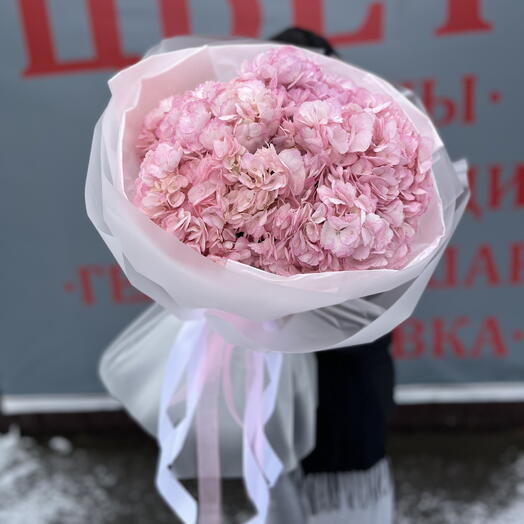 Букет из 5 розовых гортензий в воздушной упаковке