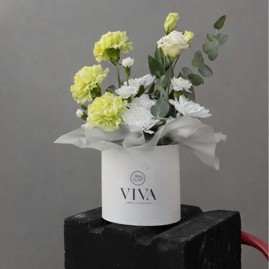 Viva Signature · Lime S