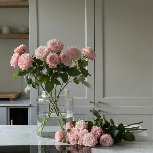 ANGELICA GARDEN