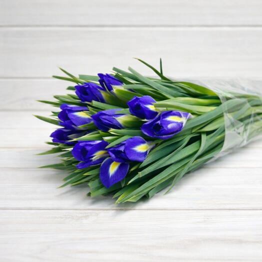 Пачка (25 шт.) Ирис Блю Мэджик 55 см