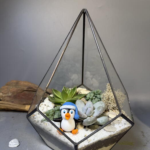 Флорариум капля с пингвиненком, подарок на любой праздник