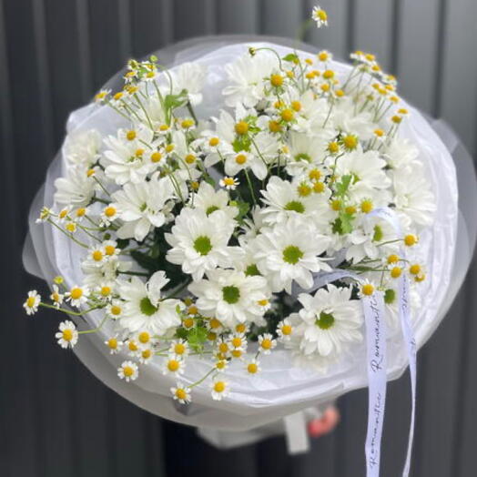 Ромашковая хризантема и ароматные ромашки в воздушной упаковке 🌿