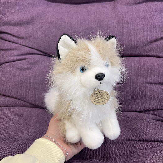 Пушистый щеночек 🐶