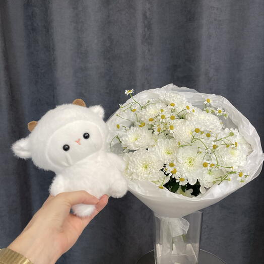 Комбо: ягненок и облачко