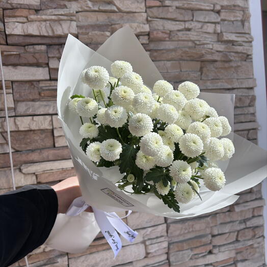Хризантемы пуговки 🌸