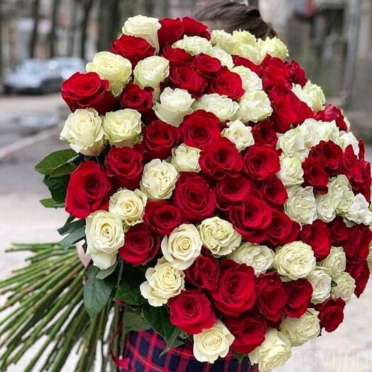 101 Роза Микс