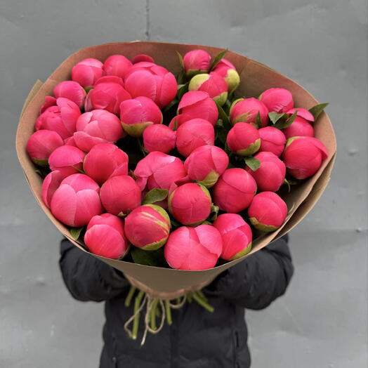 Пионы коралловые 31 шт