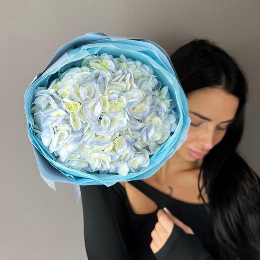 Голубое облачко гортензия